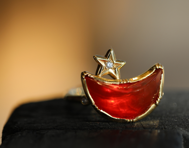 Brooke Gregson Event In Store